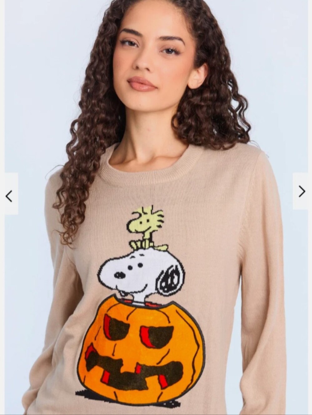 Cozy Peanuts Snoopy Tan Crew Neck Sweater With Pumpkin Woodstock Size XS New